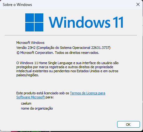 print da janela com a versão do Windows