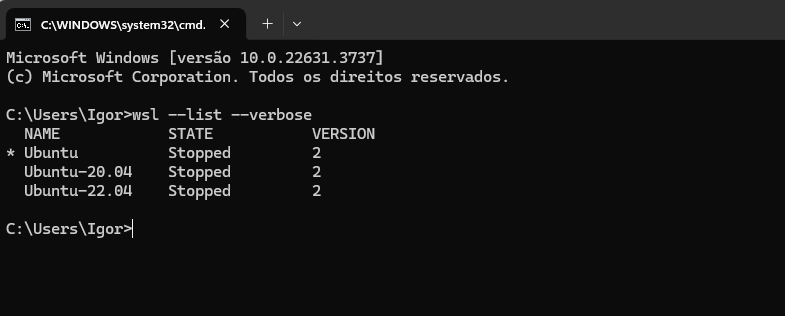 print do cmd com o comando wsl --list --verbose digitado