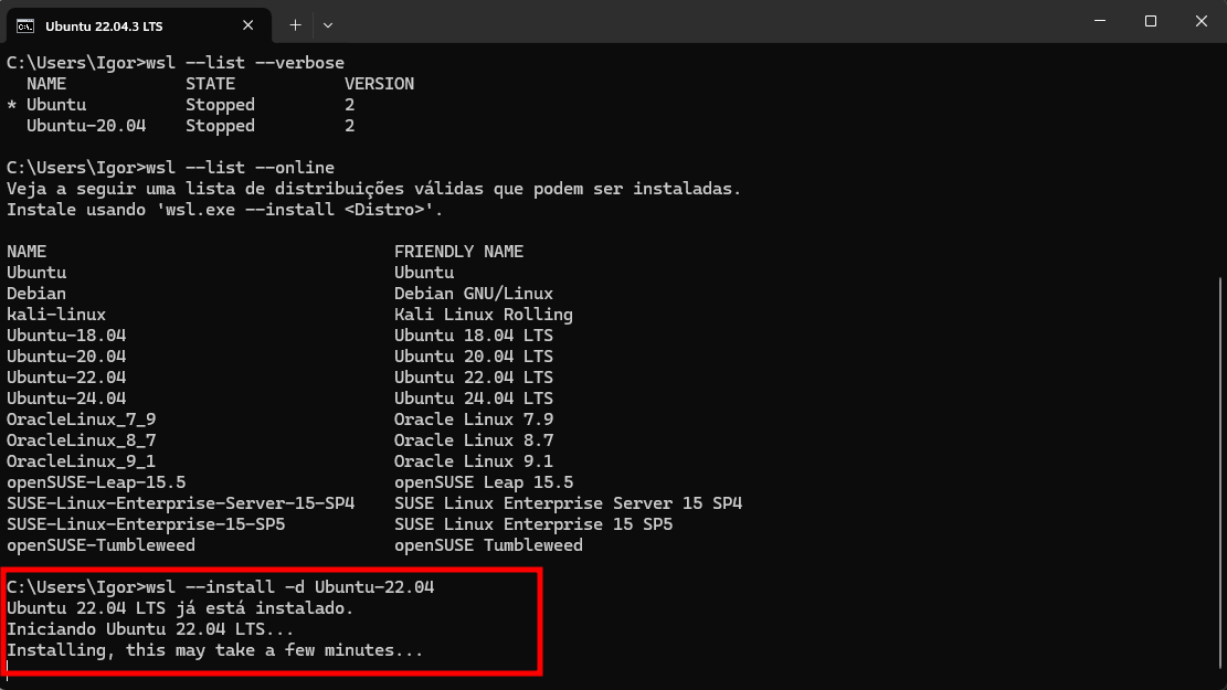 print do cmd com o comando wsl --install -d <DistroName> digitado