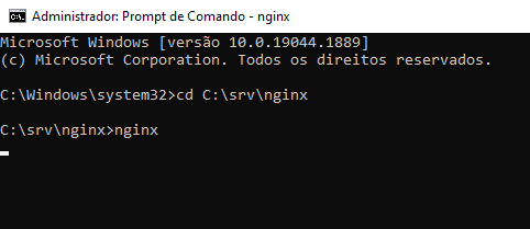 Erro ao Tentar executar NGIX no Windows