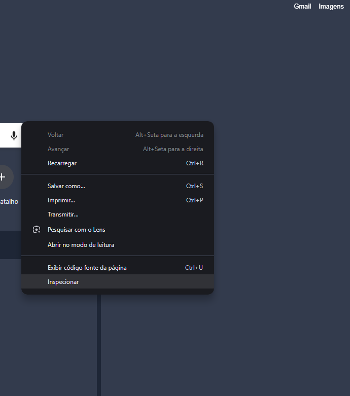 opção de inspecionar