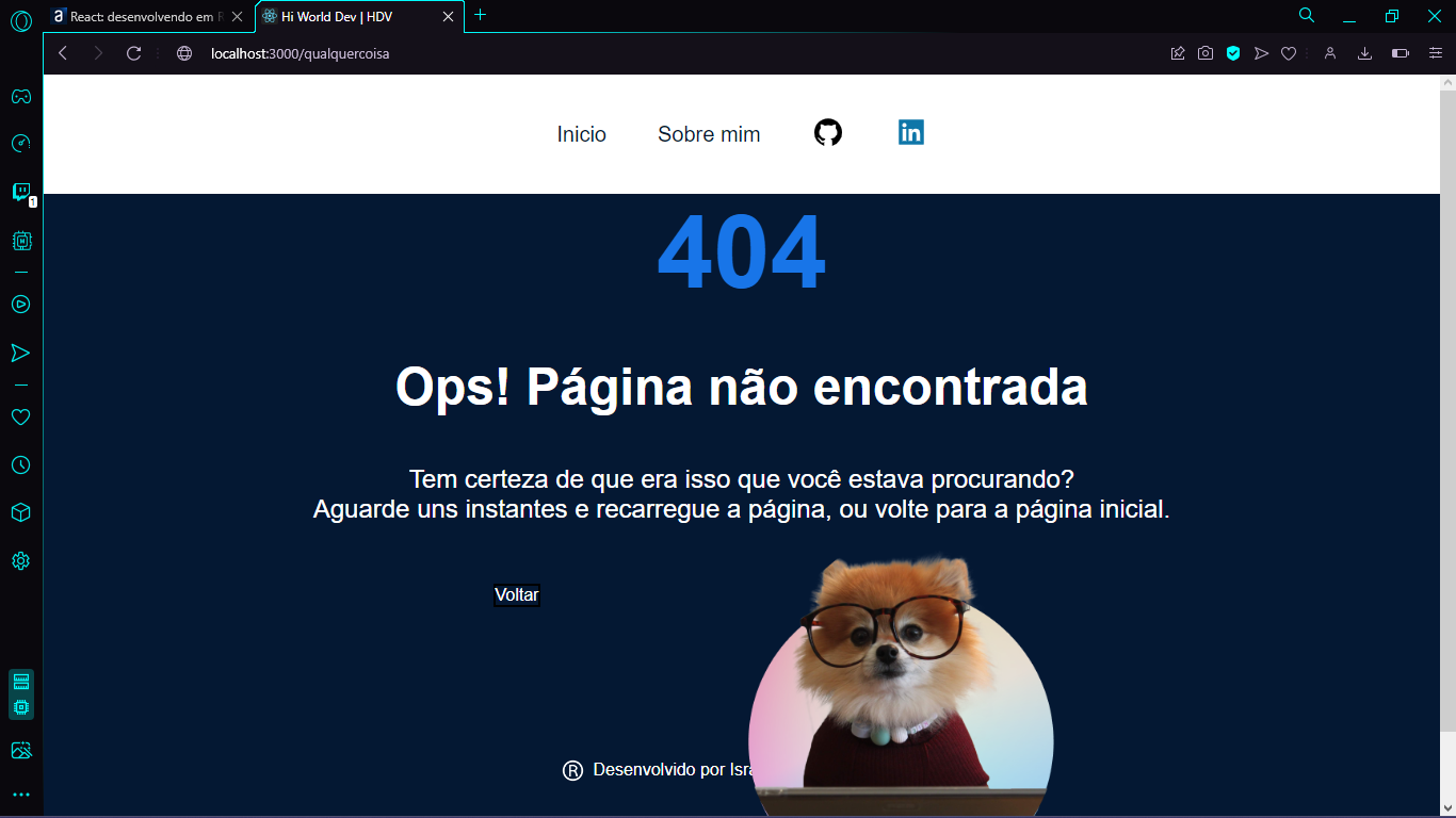 Pagina com estilização bugada