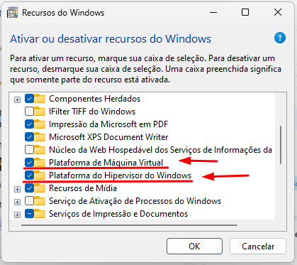 Print da janela de recursos do Windows para ativar ou desativar