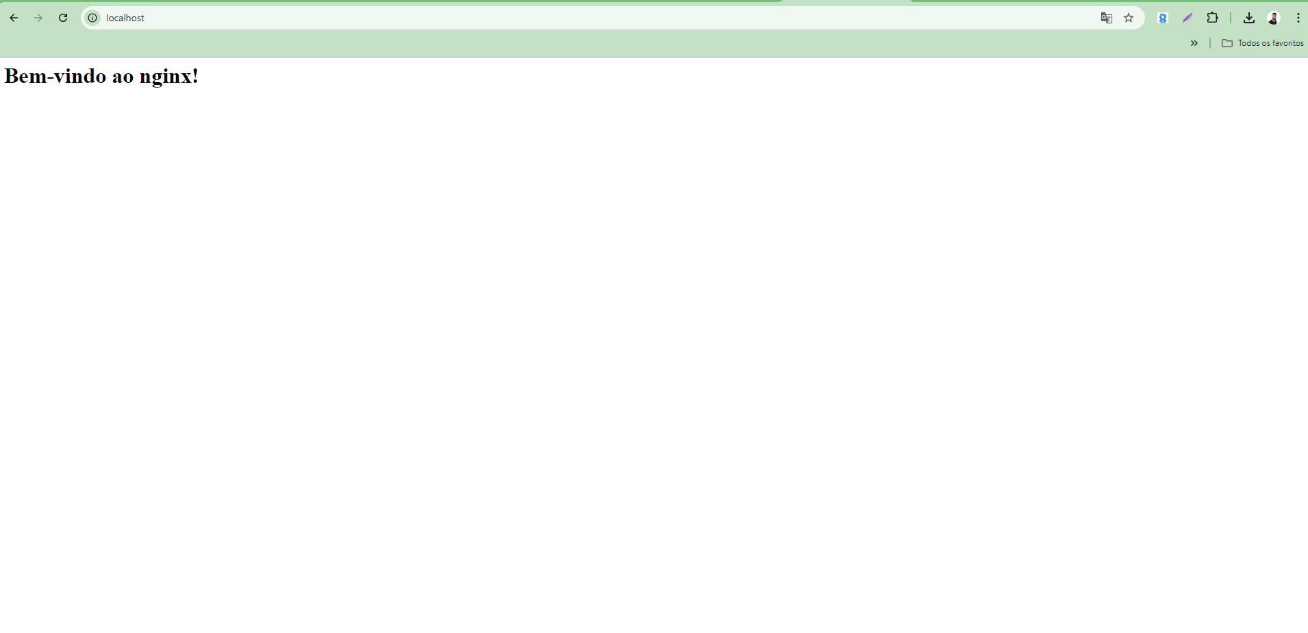 Print do navegador mostrando localhost imprimindo um texto H1 na tela: Bem-vindo ao nginx!