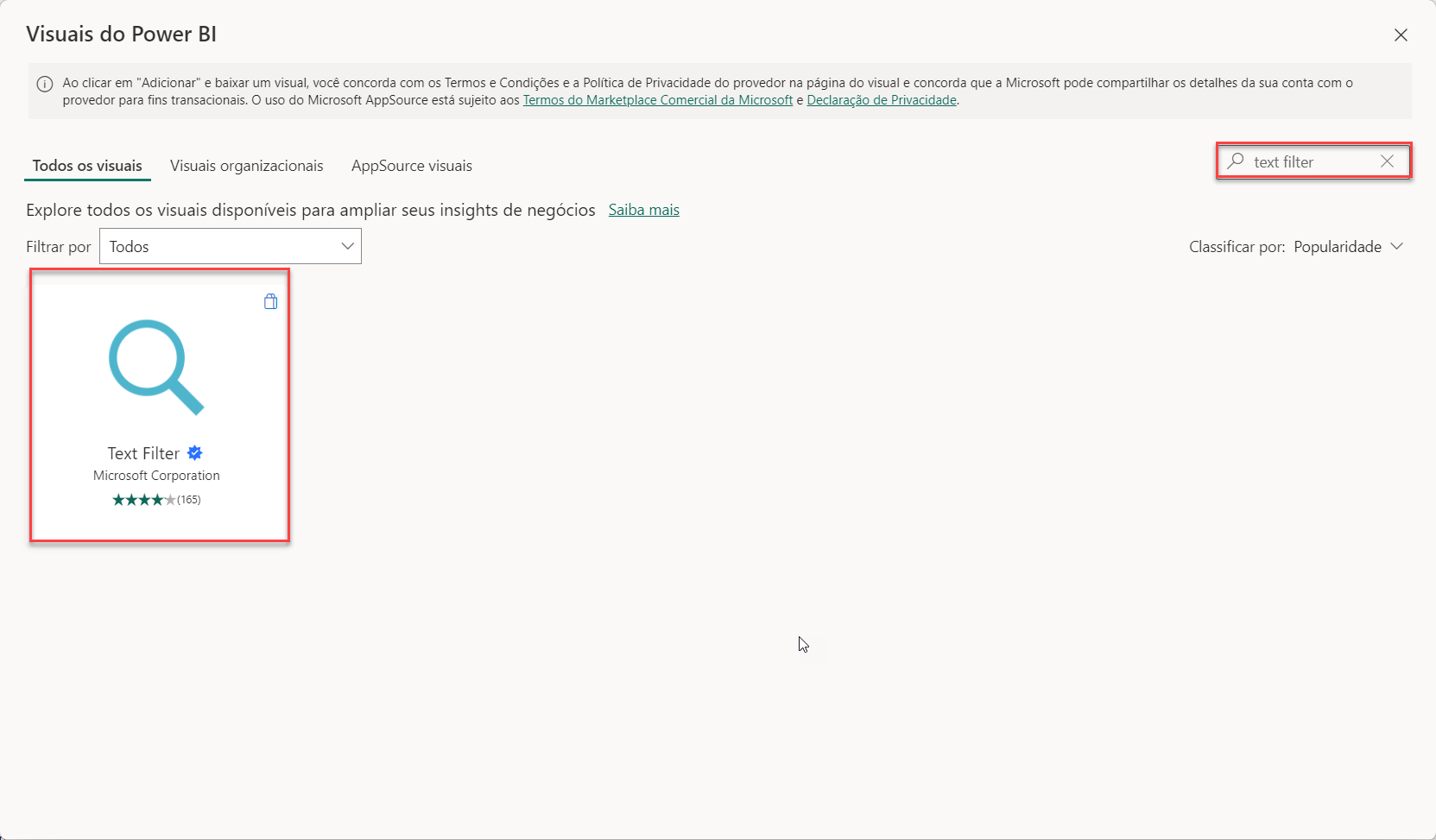 Captura de tela do Visuais do Power BI, contendo a pesquisa do Text Filter