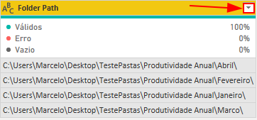 Captura de tela da coluna Folder Path, contendo os caminhos das subpastas selecionadas, com destaque para o pequeno botão à direita do nome da coluna