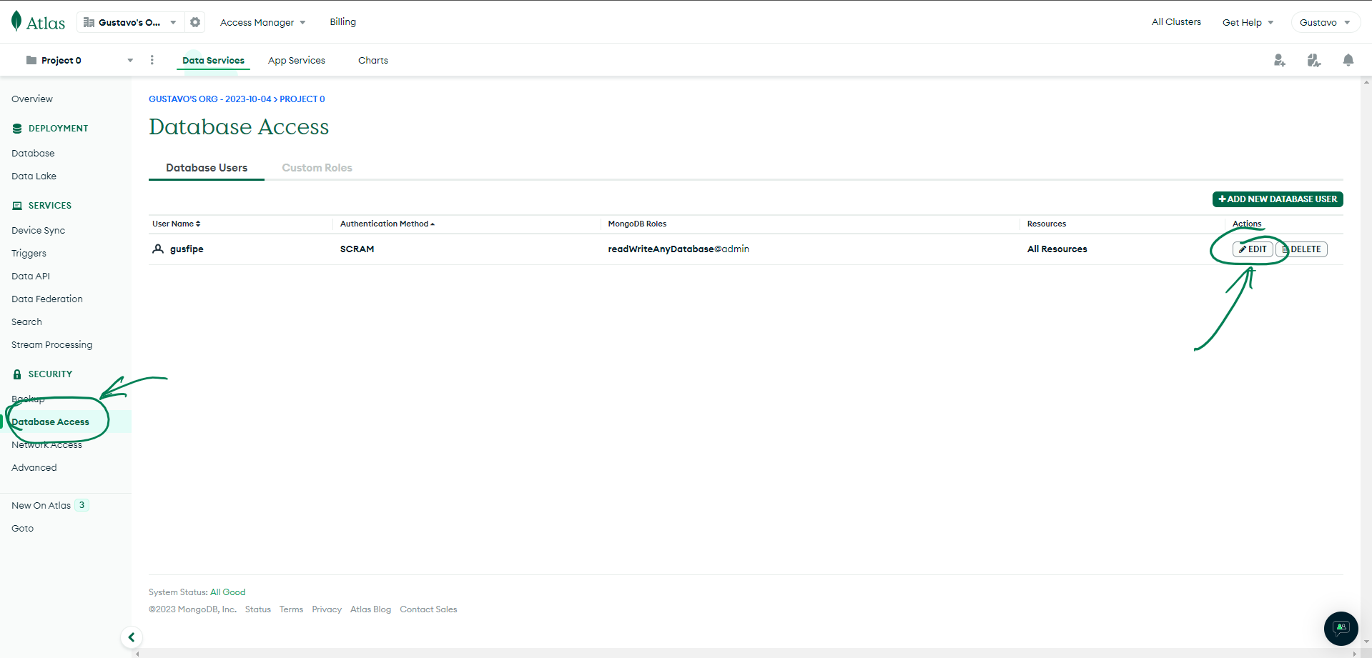 Print da tela Database Access do Atlas