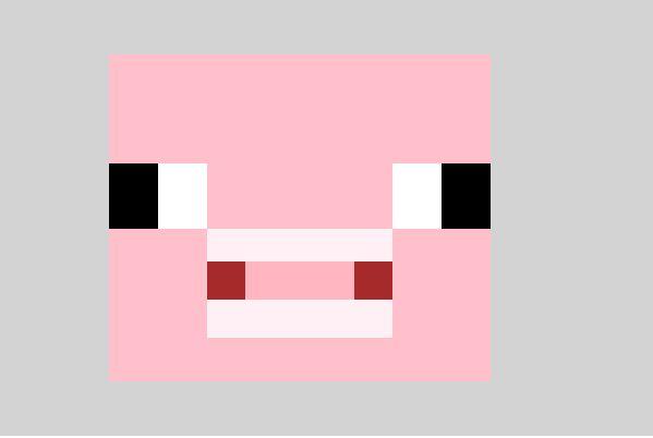 Pig