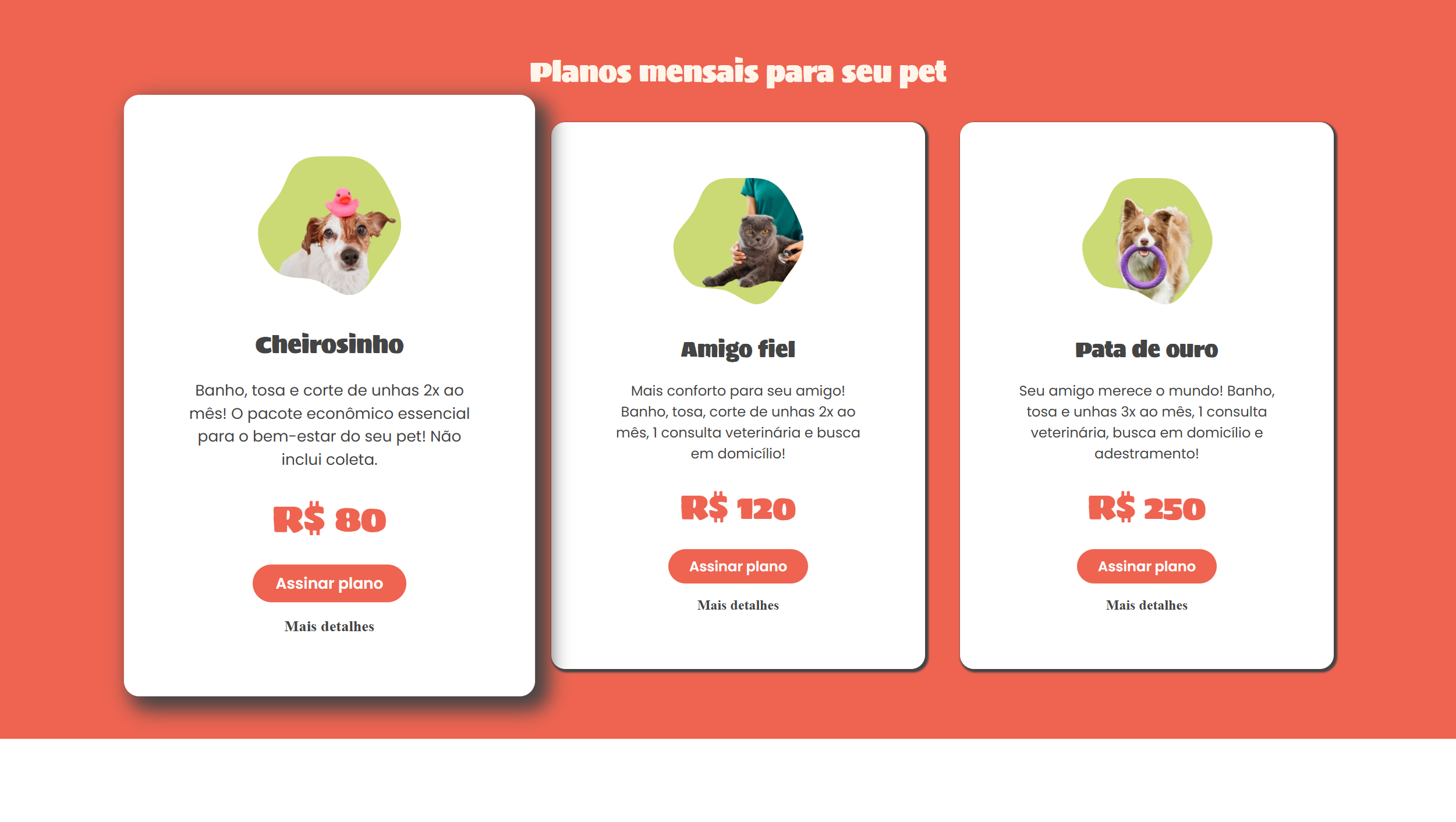 Conclusão do projeto sugerido - Pet Park 