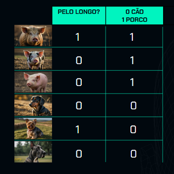 Tabela comparativa entre cães e porcos com fotos e critério de pelo longo, mostrando seis imagens de animais, sendo três de porcos e três imagens de cães. Cada imagem de porco está marcada com um "1" na coluna "PORCO" e as imagens de cães estão marcadas com um "1" na coluna "CÃO". Há uma coluna com a pergunta "PELO LONGO?" com respostas de "0" ou "1" para cada animal.