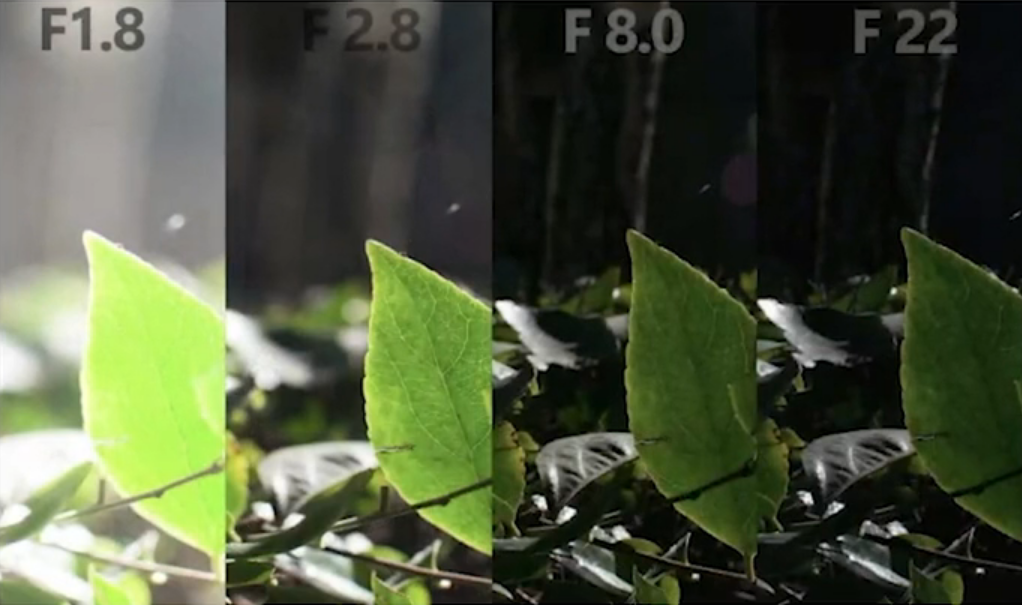 Quatro fotografias do mesmo objeto dispostas horizontalmente, porém com luminosidades diferentes, indo da mais iluminada à mais escura gradualmente, da esquerda para a direita. Nas imagens, vemos uma folha verde em foco no canto inferior direito, algumas folhagens verdes abaixo dessa folha principal, e a natureza desfocada ao fundo. Na parte superior de cada imagem há, respectivamente, as inscrições "F 1.8", "F 2.8", "F 8.0" e "F 22".