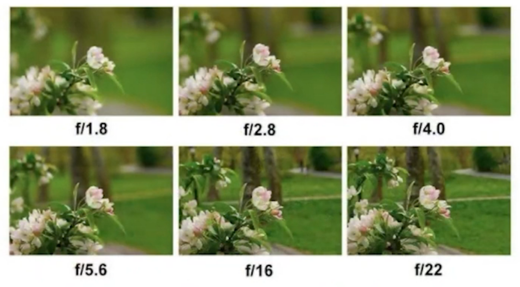 Seis fotografias do mesmo objeto, dispostas em 2 linhas e 3 colunas. A diferença entre elas é que, da esquerda para a direita e de cima para baixo, o fundo se torna gradualmente menos desfocado. Na imagem, vemos um ramo de flores rosa-claras com folhas verdes, com um gramado verde e alguns troncos de árvore ao fundo. Abaixo de cada imagem, da esquerda para a direita e de cima para baixo, há, respectivamente, as inscrições "f/1.8", "f/2.8", "f/4.0", f/5.6", "f/16" e "f/22" em preto e em negrito.