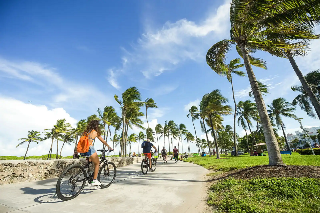 Imagem de pessoas andando de bicicleta em um piso de cimento na orla de uma praia, com coqueiros verdes à direita, vegetações à esquerda e à direita, e o céu azul-claro ao fundo com nuvens brancas.