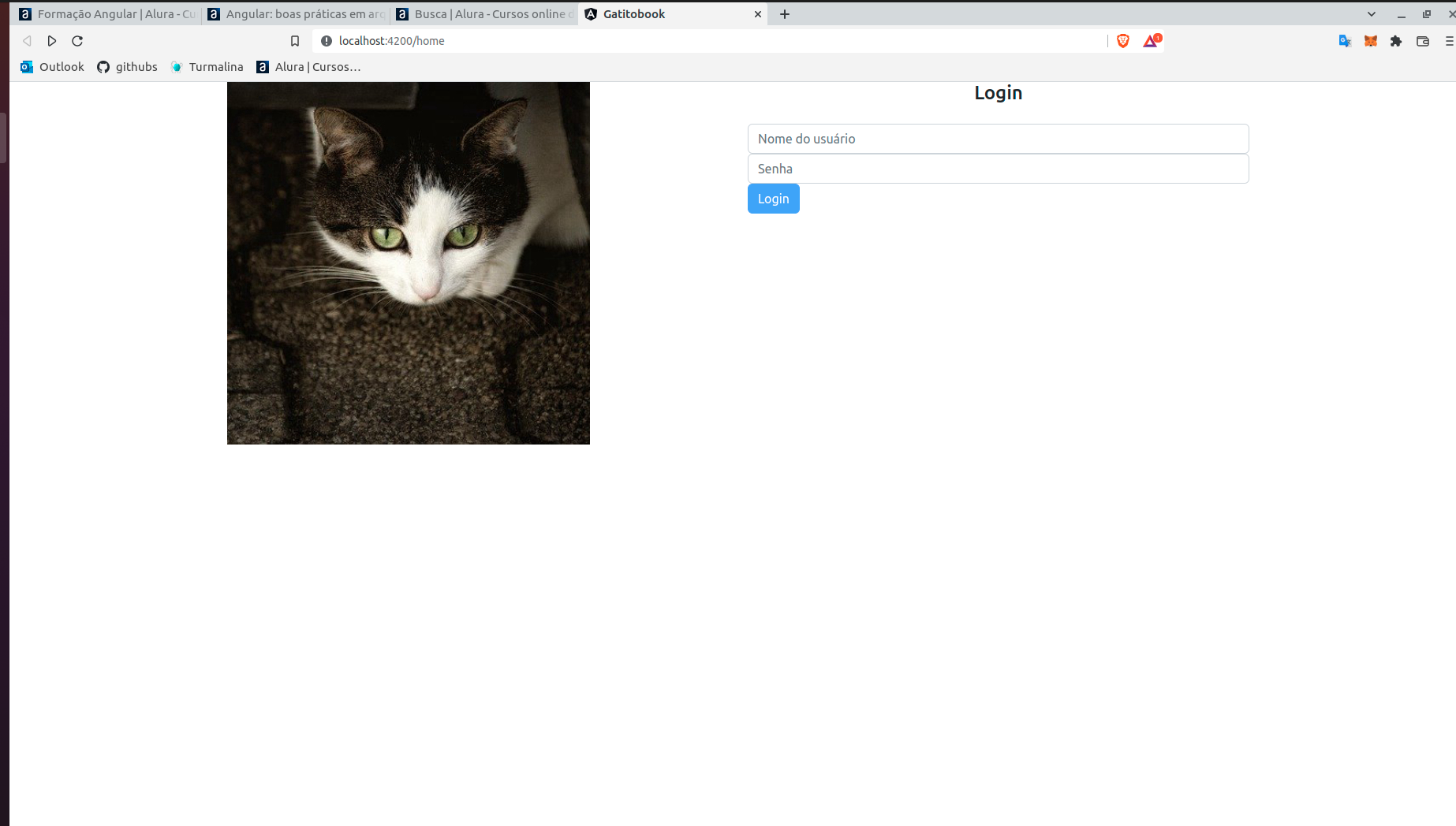 Insira aqui a descrição dessa imagem para ajudar na acessibilidade