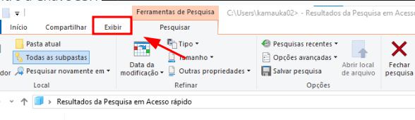 Captura de tela do explorador de arquivos do Windows 10, com destaque para a aba Exibir