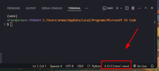 Captura de tela do VS Code mostrando o terminal do tipo bash e destacando o interpretador Python sendo usado