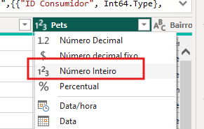 Imagem de uma interface do Power Query no Power BI mostrando a seleção do tipo de dado para a coluna 'Pets'. Um menu suspenso está aberto, exibindo opções como 'Número Decimal', 'Número decimal fixo', 'Número Inteiro', 'Percentual', 'Data/hora' e 'Data'. A opção 'Número Inteiro' está destacada com um retângulo vermelho.