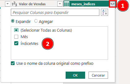 na coluna meses_indice há um ícone no cabeçalho no lado direito, ele está selecionado. O menu suspenso a opção expandir está selecionada e está selecionada a coluna índiceMes