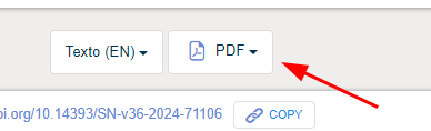 Há dois botões Texto(EN) e PDF, este último com seta vermelha apontando-o 