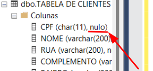 captura de tela da coluna cpf; Está CPF(char(11), nulo)