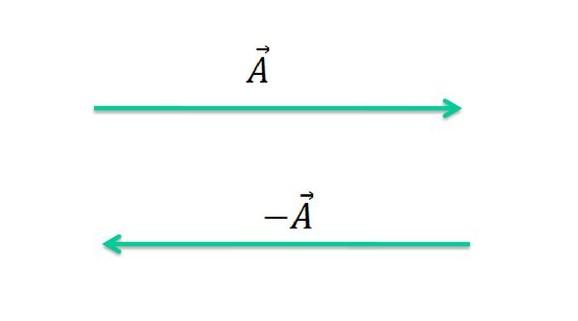Imagem representando vetores opostos. Estão na cores azuis, representado pela letra A. Possuem o mesmo módulo, mesma direção e sentido contrário.