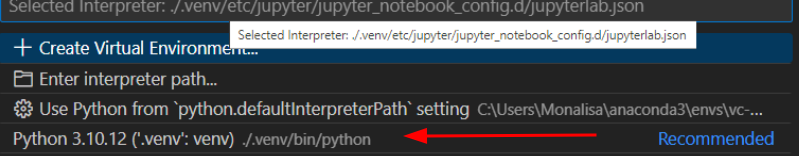 captura de tela do interpretador venv. Há uma seta vermelha apontando para a opção Python 3.10.12 'venv":venv