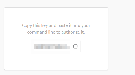 Tela exibindo instrução para copiar uma chave de API e colar no terminal para autorizar o acesso. Abaixo, há uma caixa cinza contendo a chave com opção de copiar.