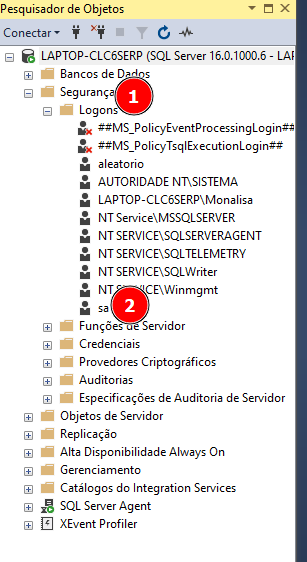 Aba pesquisador de Objetos. Dentro do servidor Laptop. há a pasta Segurança ao lado um número 1, dentro dela há a pasta logons, e dentro o login sa com o número 2