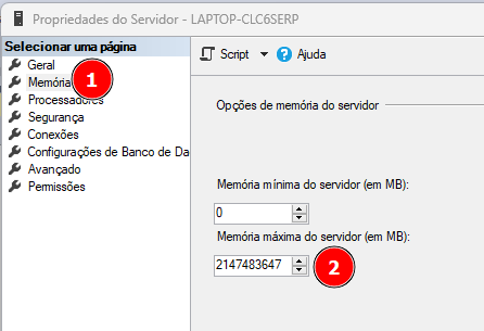 Na janela propriedade do servidor há um numeral 1 ao lado de memória e o numeral 2 ao lado da propriedade 'mémoria máxima do servidor'