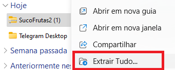 Captura de tela do Explorador de Arquivos do Windows. O arquivo está selecionado, e ao lado dele há um menu. A opção "Extrair Tudo" está destacada em vermelho.