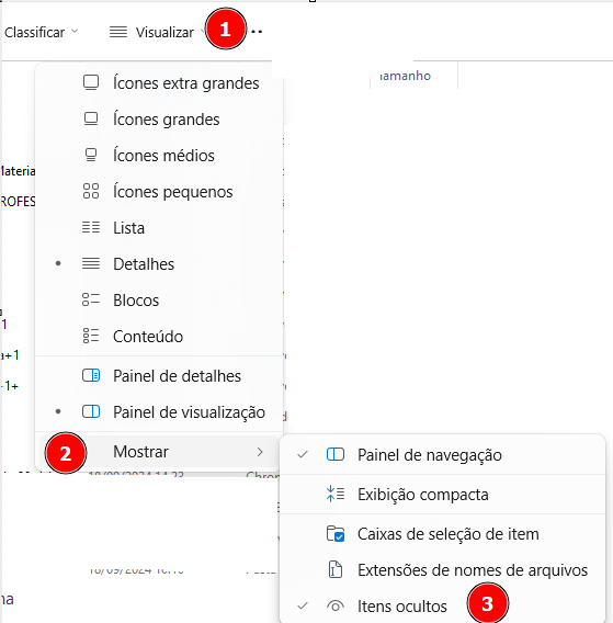 captura de tela com os passos acima