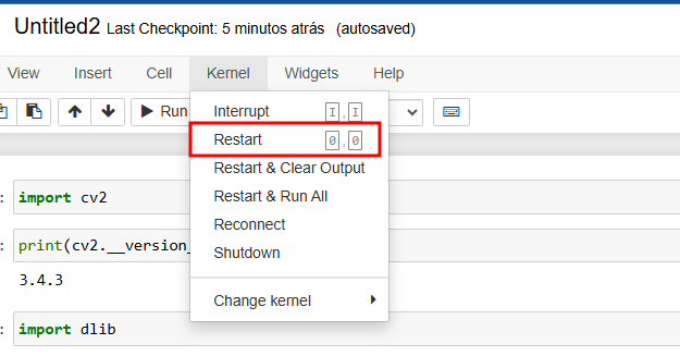 Descrição da imagem: menu Kernel sendo aberto com a opção Restart Kernel destacada