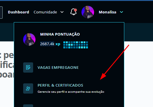 Menu da plataforma com a opção "Perfil e certificados" destacada