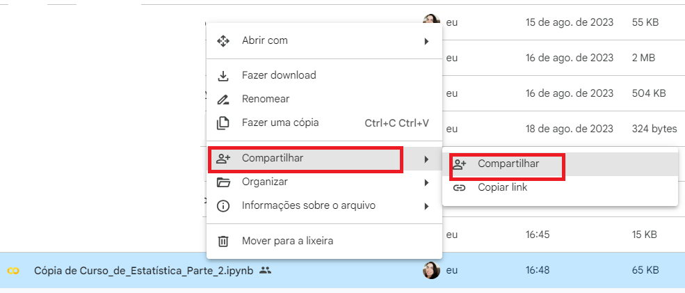 Captura de tela do drive. Está destacado em vermelho a opção compartilhar