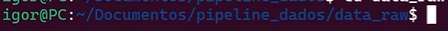 Captura de tela do terminal WSL com o caminho documentos/pipeline_dados/data_raw