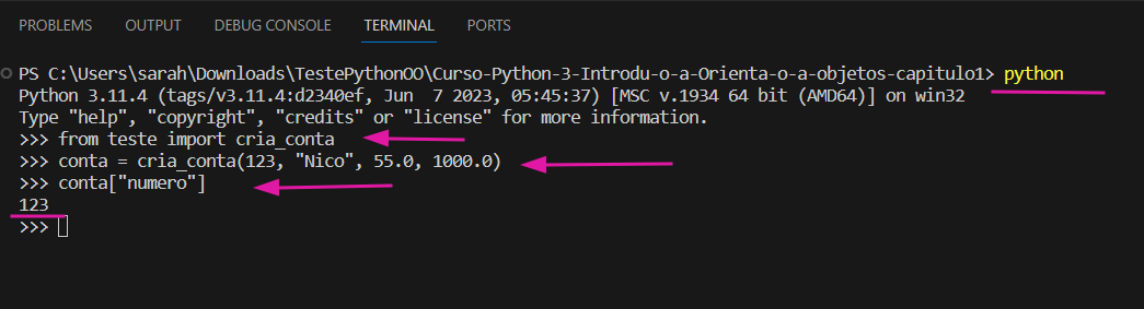 Print de comandos no terminal