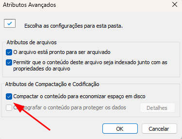 Atributos avançados após ter clicado em "Avançados...", no botão anteriormente mostrado