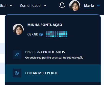 Captura de tela mostrando a opção "editar meu perfil"