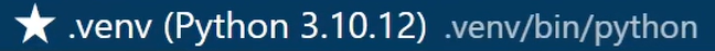 Imagem com fundo azul contendo uma estrela no canto esquerdo e na frente escrito .venv abre parenteses python 3.10.12 fecha parenteses .venv/bin/oython.