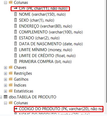 print do banco de dados que encontram-se na plataforma SQL Server, contendo o campo CPF com a chave primária e com a restrição NOT NULL e também a tabela COLUNA com as mesmas alterações em CÓDIGO DO PRODUTO. Ambos estão destacados por um retângulo vermelho.