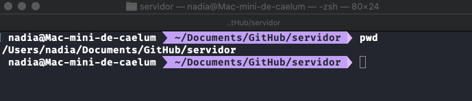 Captura de tela. A imagem apresenta a tela do terminal do MacOS. Na primeira linha, são apresentados a identificação do computador, o caminho parcial do repositório “servidor” e o comando “pwd”. Abaixo, é exposto o resultado do uso do “pwd”, que é o caminho completo da pasta “servidor”. Por fim, a última linha apenas contém a identificação do computador e o caminho parcial do repositório “servidor”.