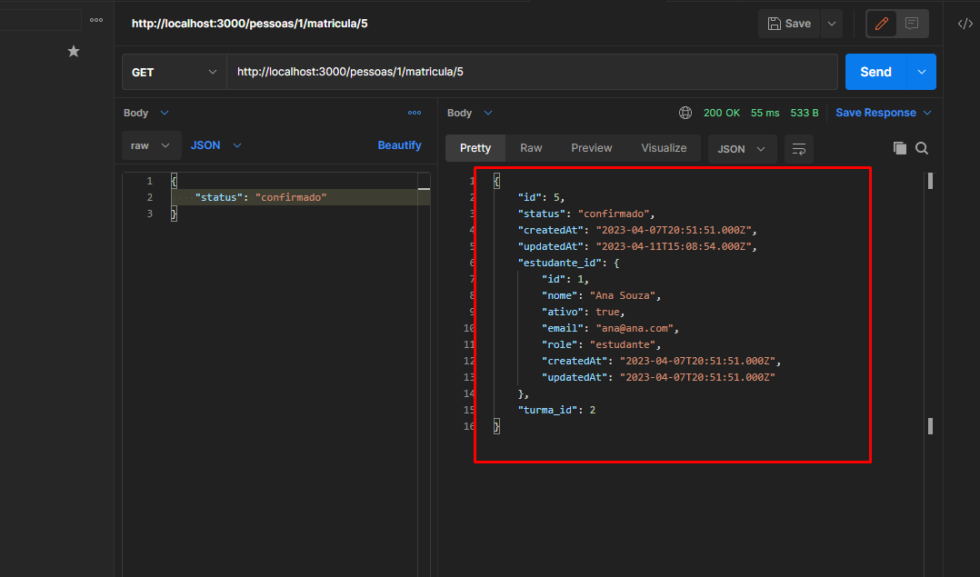 Imagem que representa o resultado que a consullta no postman me retornou.