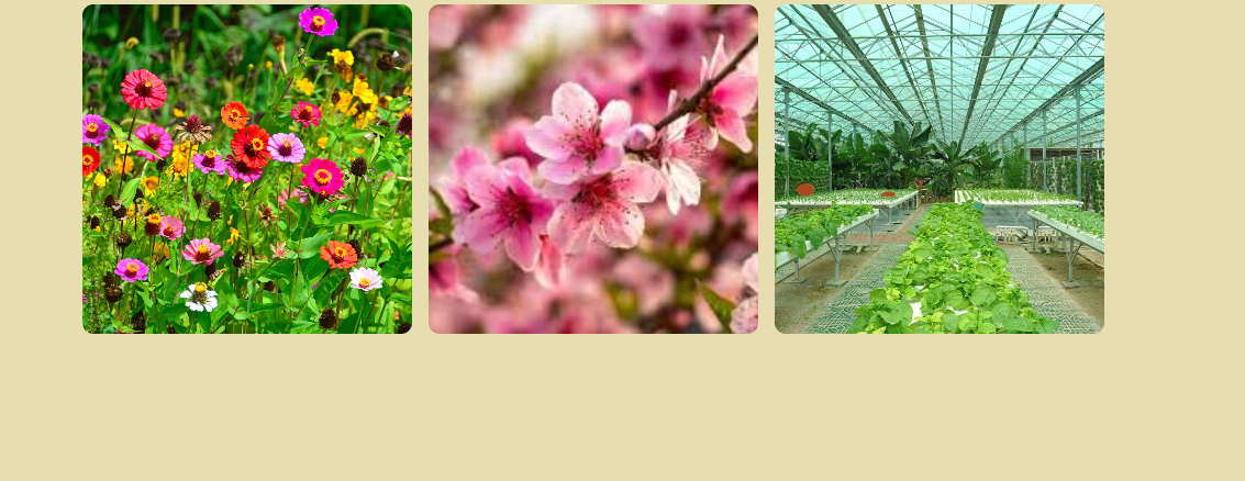 Insira aqui a descrição dessa imagem para ajudar na acessibilidade