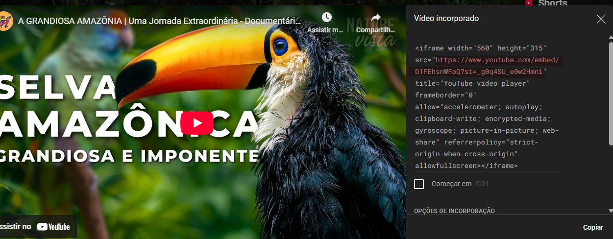Insira aqui a descrição dessa imagem para ajudar na acessibilidade