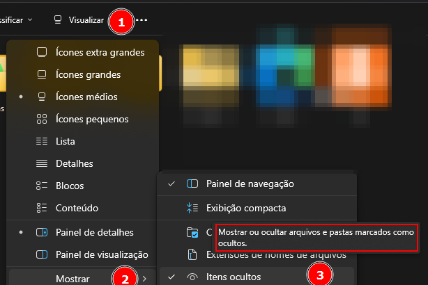 Habilitando a opção de visualizar itens ocultos