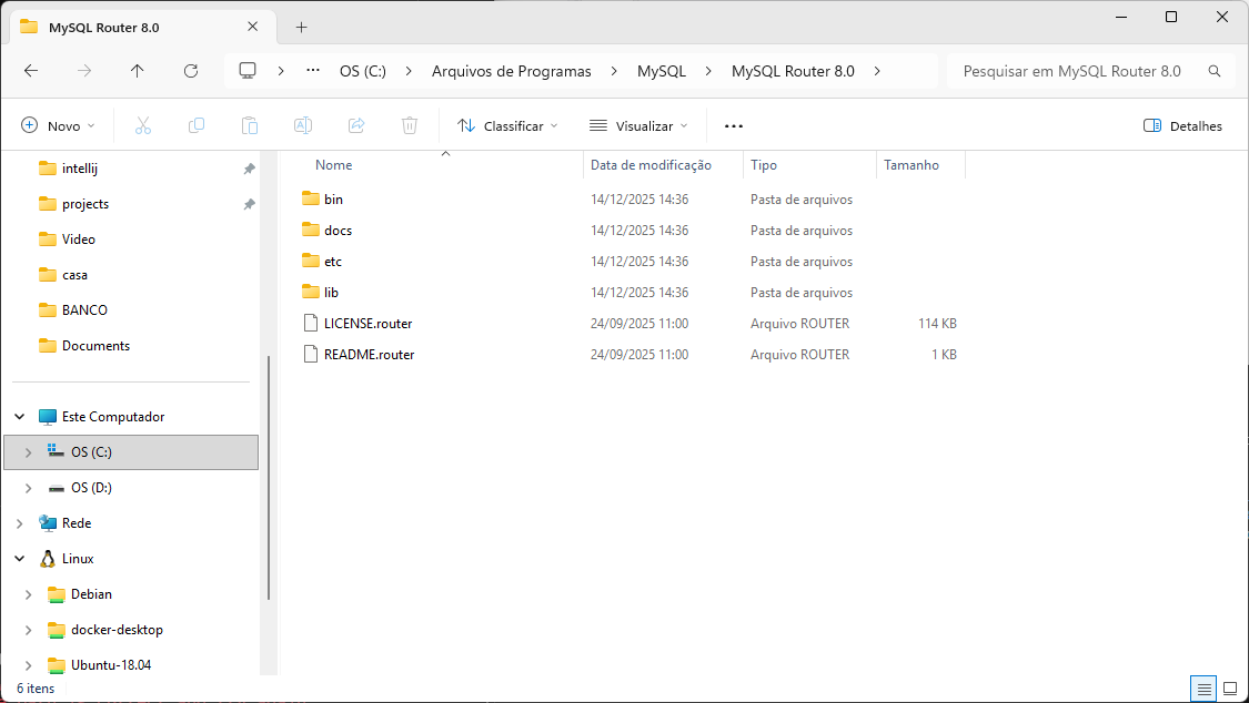 Insira aqui a descrição dessa imagem para ajudar na acessibilidade