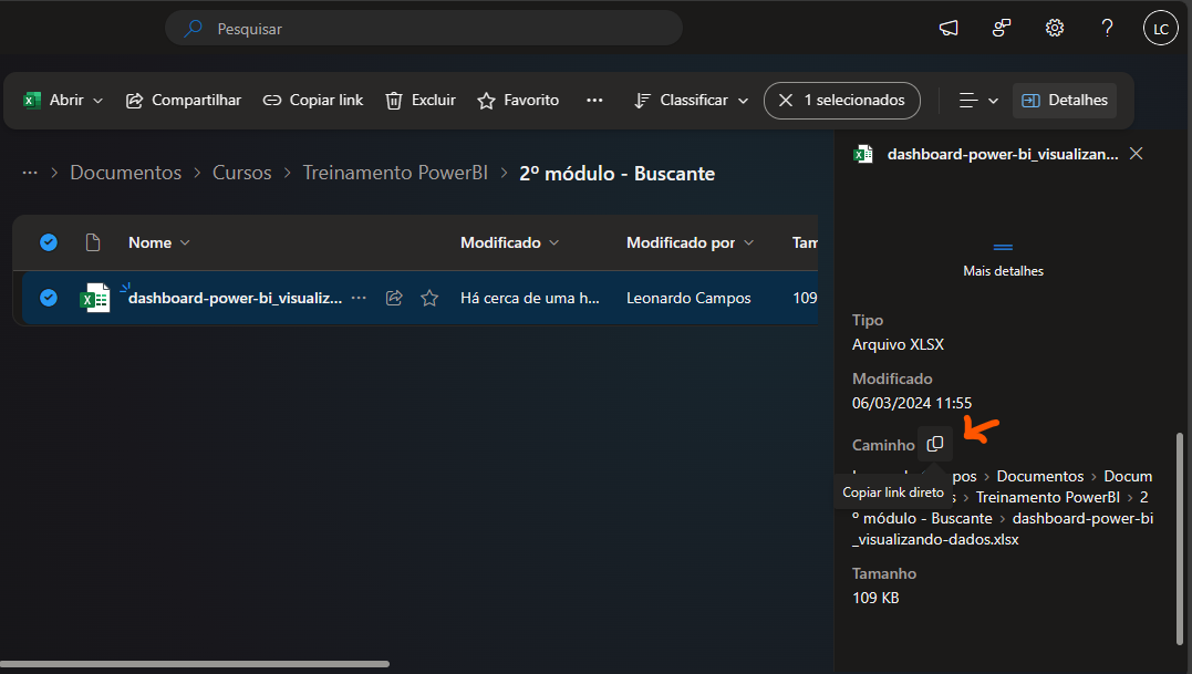 Tela do navegador Edge logado no portal Sharepoint, mostrando os detalhes do arquivo selecionado