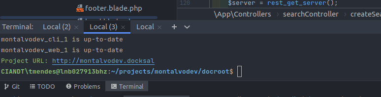 Terminal PHPStorm