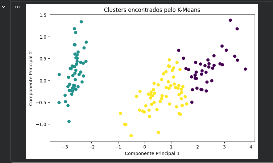 Insira aqui a descrição dessa imagem para ajudar na acessibilidade