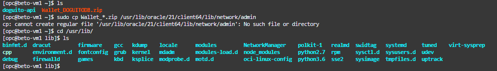  cannot create regular file '/usr/lib/oracle/21/client64/lib/network/admin': No such file or directory